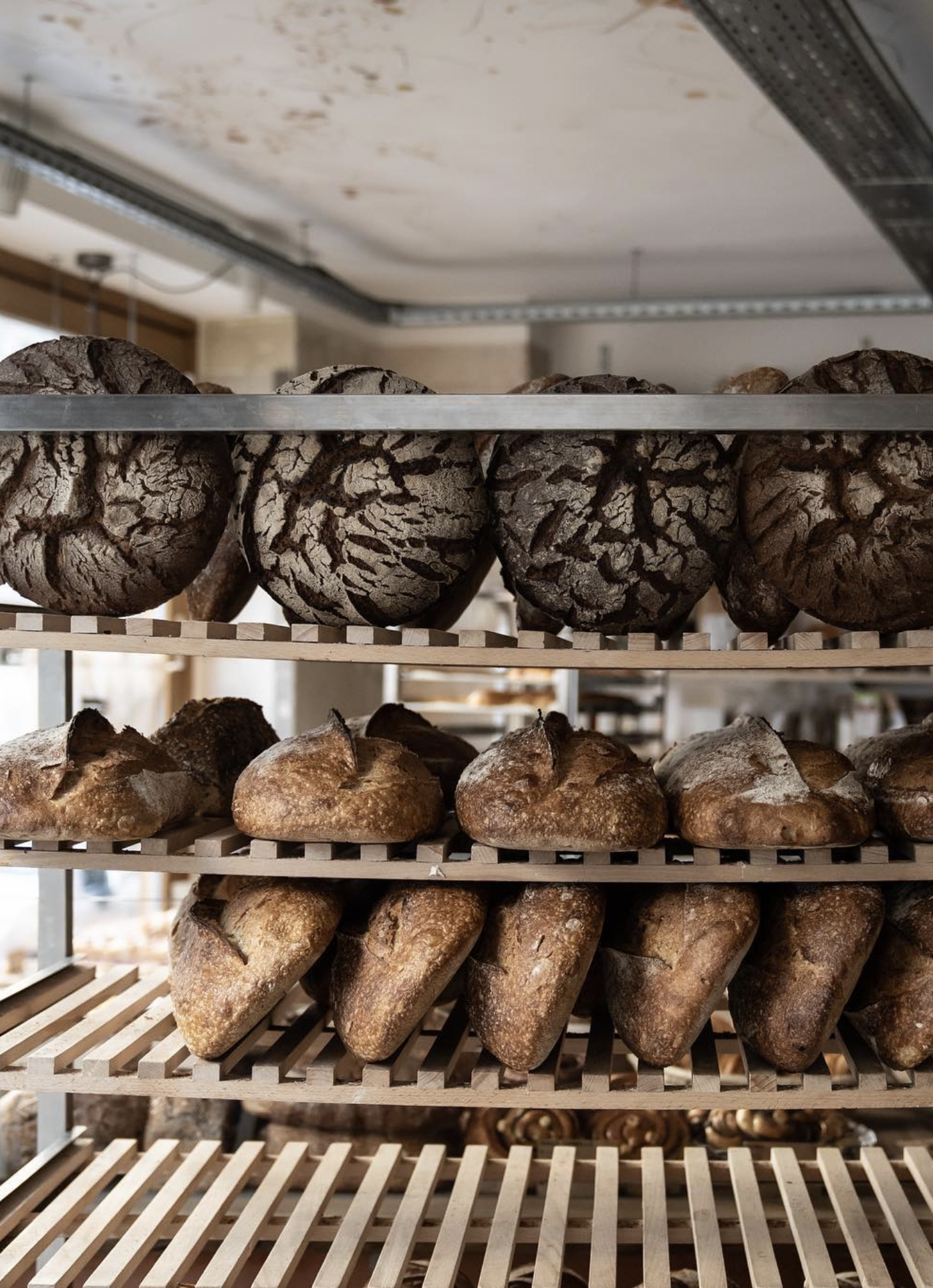 boulangerie pains étale